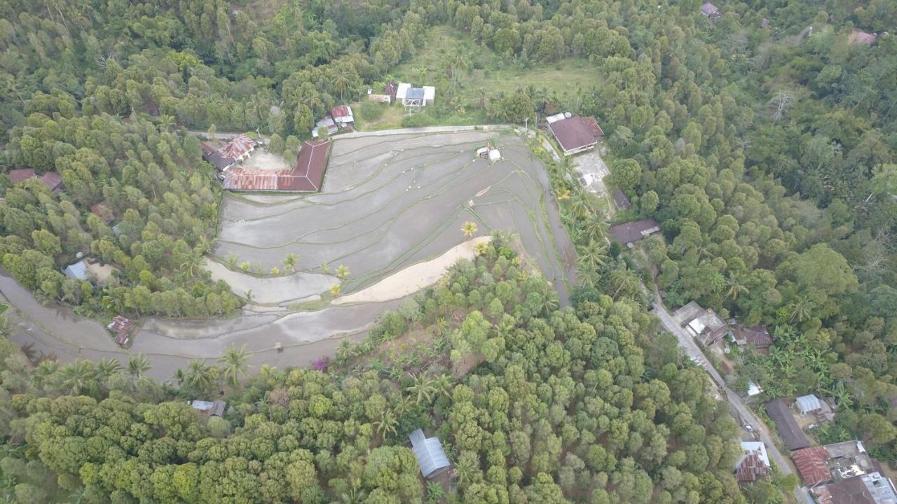 Hotel Bali Bening Munduk Zewnętrze zdjęcie